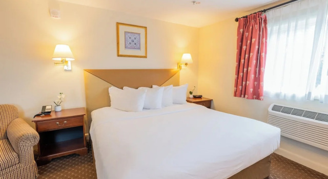 Номер Economy Senator Inn & Spa