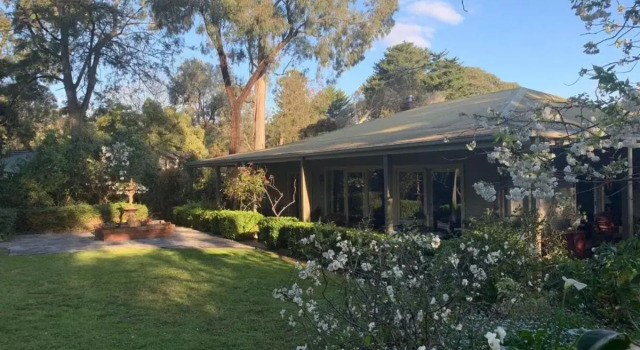 Treetops Bed & Breakfast