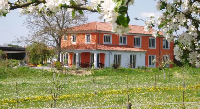 Номер Standard Weinhof am Nussbaum