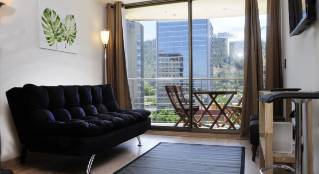 Апартаменты Apartamento Living Montt