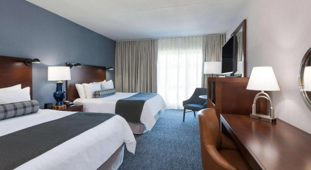 Четырёхместный номер Standard Hamilton Park Hotel & Conference Center