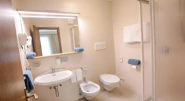 Двухместный номер Standard с балконом и с видом на горы Hotel Lamm