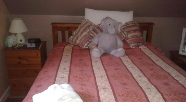 Двухместный номер Standard Springfield B&B