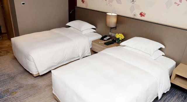 Двухместный номер Standard Hilton Garden Inn Zhongshan Guzhen