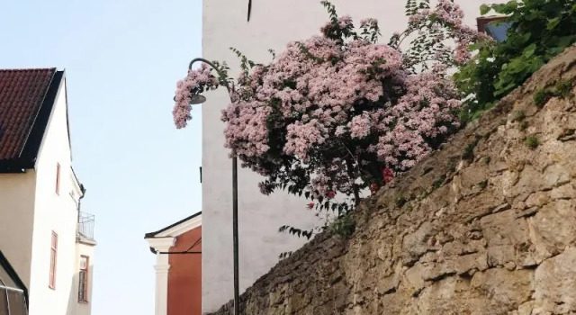 Kalk Hotel