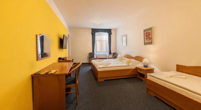 Трёхместный номер Standard Hotel U Sládka