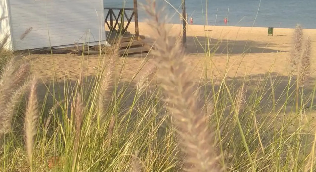 Volver a Casa, Buchen Sie Hotel Corrientes Corrientes Province