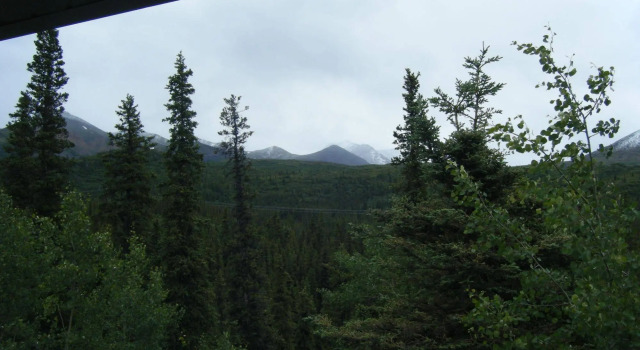 The Perch Resort, Prenota Resort Hotel a Alaska con parcheggio, Parcheggio