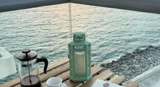 Pacific rak