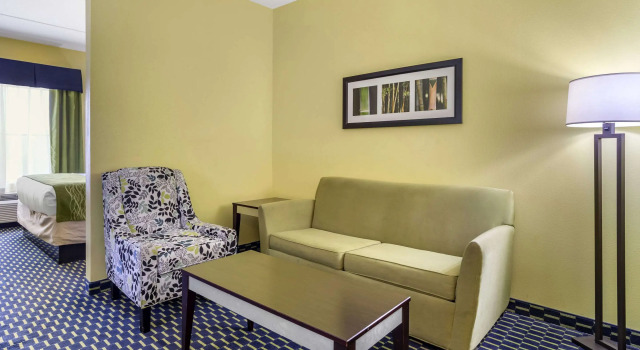 Двухместный люкс Comfort Inn Athens I - 75