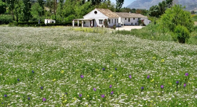 Коттедж Holiday Home Finca Retama