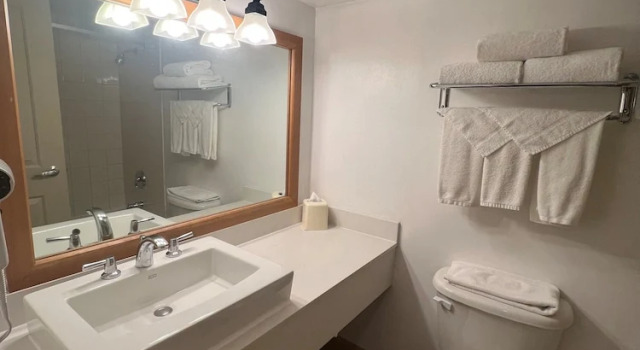 Люкс Hidden Valley Resort, an Ascend Collection Resort
