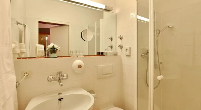 Номер Standard Trip Inn Landhotel Badsoden-Salmünster