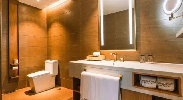 Люкс Zhe · Brown Hotel