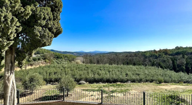 Номер Classic Masia Can Viver - Olive oil tourism B&B