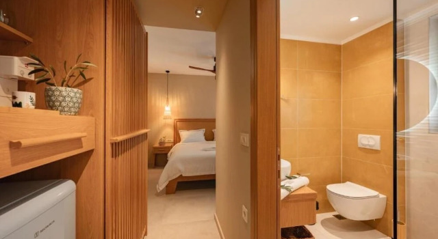 Люкс Deluxe Trinity Design Suites