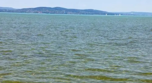 Boglárka Vendégház, Prenota Hotel Balatonboglár 