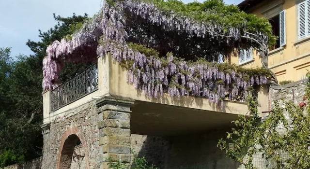 Villa I Delfini, Prenota Villa Vicchio 