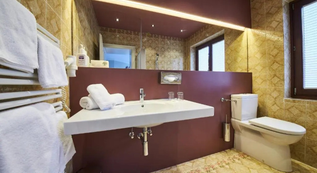 Двухместный номер Standard с видом на горы THOMSN Central Hotel & Appartements