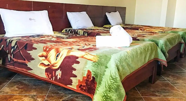 Modest Inn Limited