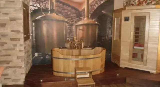 Luxusni Apartmany Stodolni