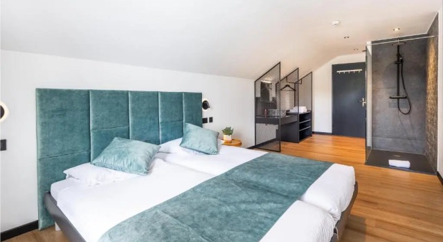 Двухместный номер Standard Hotel Rheingerbe