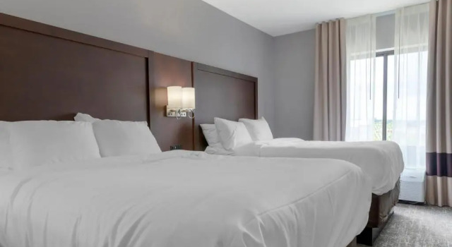 Четырёхместный люкс c 1 комнатой Comfort Suites Paducah Mall Area