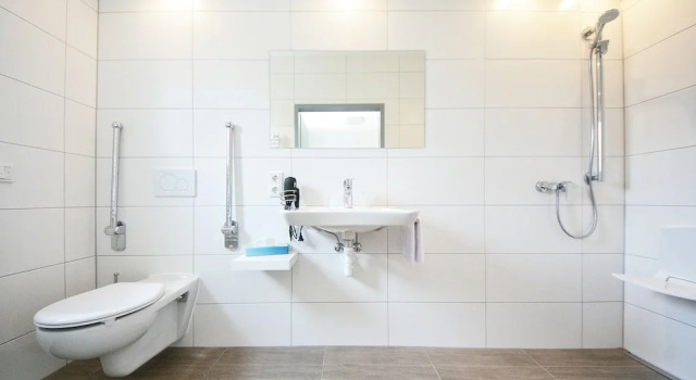 Одноместный номер Classic Hotel Birkensee