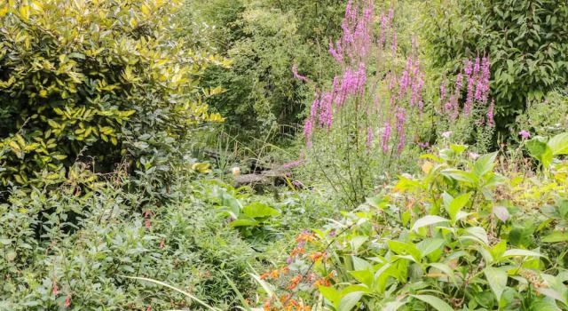 The Garden Cottage