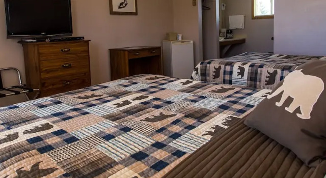 Номер Standard Bear Tracks Inn