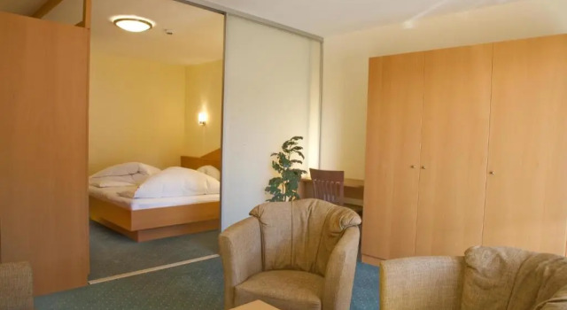 Люкс Standard Erlebnishotel Fendels