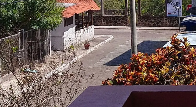 Люкс Hostal Terito