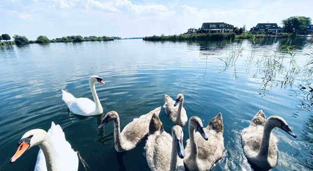 Номер Standard Houseboat - Sleeps 2 & Free Parking