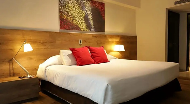 Номер Executive Mod Hotels Mendoza