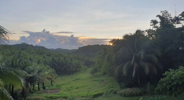 Villa Grand con vista al jardín Mango Tree Siargao