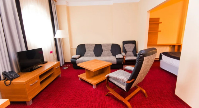 Студия Hotel Malinowski Business