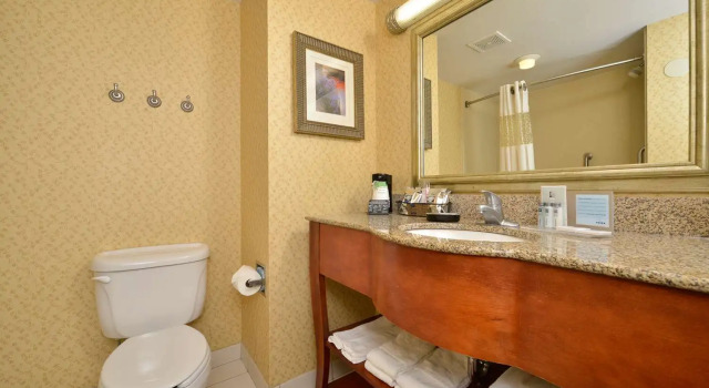 Люкс c 1 комнатой Hampton Inn Farmville