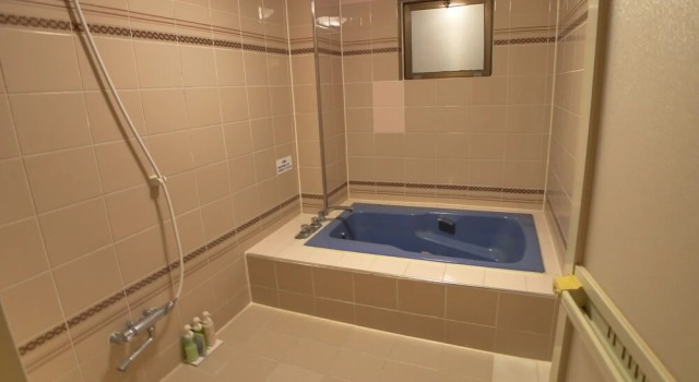 Одноместный номер Economy c 1 комнатой Hotel GOLF III Atsugi