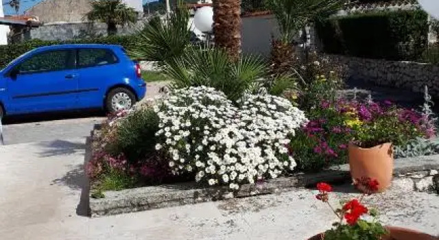 Villa Padovan, Prenota Villa Cottage a Arbe, Cottage