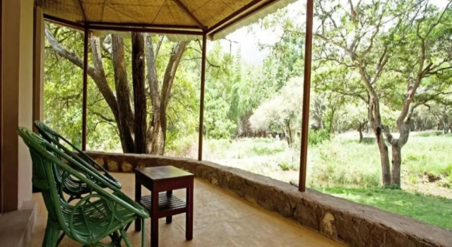 Номер Superior Jungle Hut Resort
