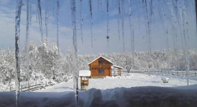 Шале Musketeers Cabin