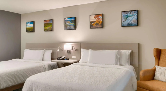 Четырёхместный номер Standard Hilton Garden Inn Idaho Falls