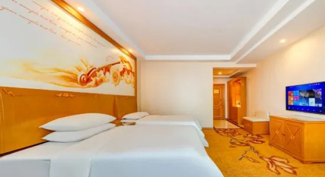 Люкс Superior Vienna Classic Hotel (Hulun Buir Railway Station)