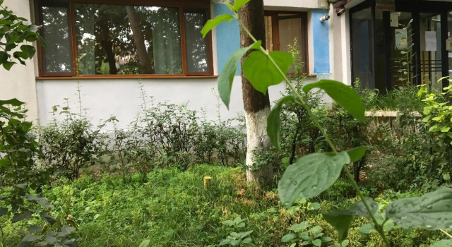 Peles Green Apartment, Varaa Huoneisto Cluj-Napoca 