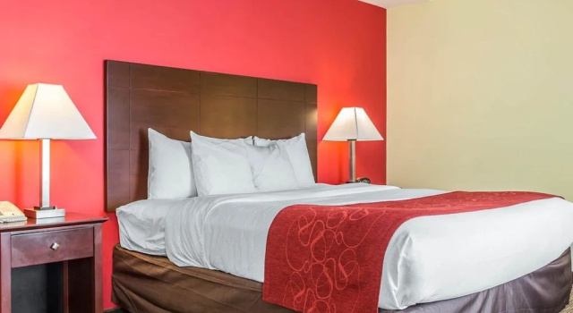 Номер Standard Comfort Suites Rock Hill Manchester Meadows Area