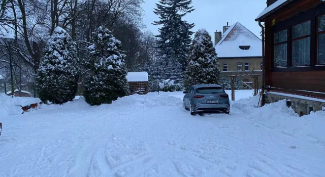 Номер Standard Pokoje Gościnne Złota Palma