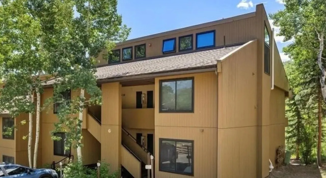 Remodeled Snowmass Pet-Friendly Modern 1BR Condo - G125