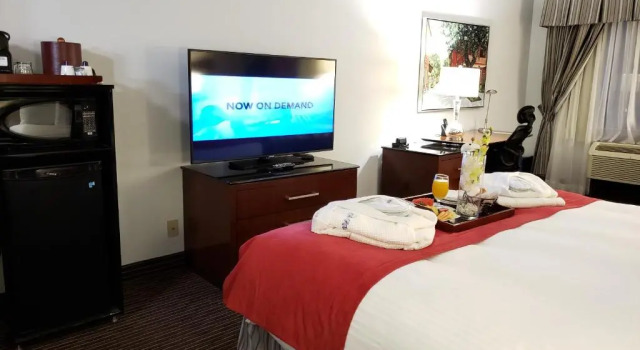 Executive Kahden hengen huone Le Nouvel Hotel & Spa