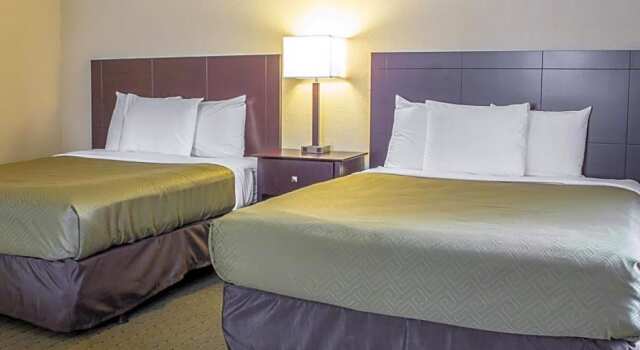 Standard Zimmer Econo Lodge