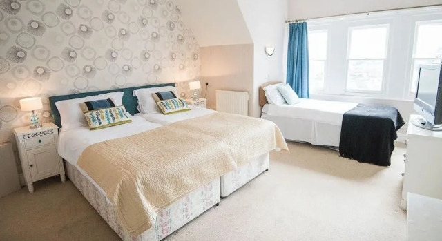 The Elmfield